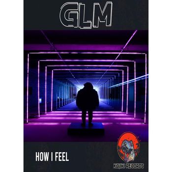 GLM - How I Feel