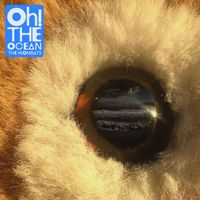 The Wombats - Oh! The Ocean (Explicit)