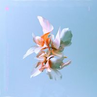 Andrea Martini - Song Of The Dolphin