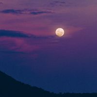 LOTUS BEATS - Nights Sky