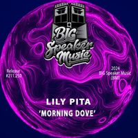 Lily Pita - Morning Dove