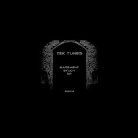Tek-Tunes - Basement Study
