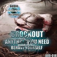 Brockout - Anything You Need / Behave Yourself