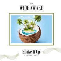 Æj - Wide Awake