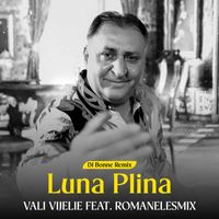 Vali Vijelie - Luna plina (Dj Bonne Remix)