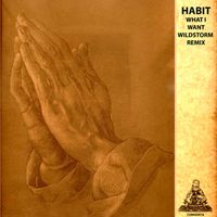 Habit - What I Want (Wildstorm Remix)