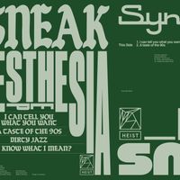 DJ Sneak - Synesthesia