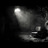 Spunkshine - Demand Engineering