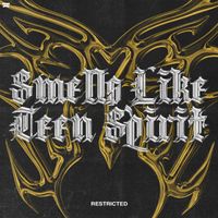 Restricted - Smells Like Teen Spirit
