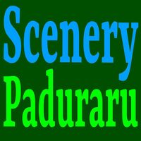 Paduraru - Scenery (Hymnastics Gym Hymn)