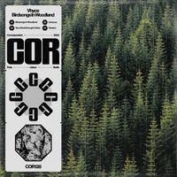 Vhyce - Birdsongs In Woodland