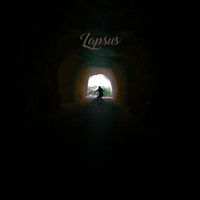 The Fool - Lapsus