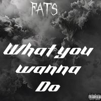 Fats - What You Wanna Do (Explicit)