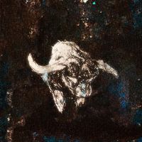 The South Hill Experiment - Silver Bullet