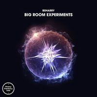 Bsharry - Big Room Experiments