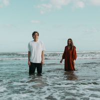 Wild Honey - Okay LA