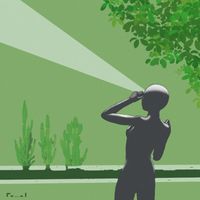 Foram - Shadows into Green