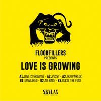 Floorfillers - Love Is Growing