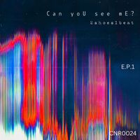 2Shoes1Beat - Can You See Me E.p. 1