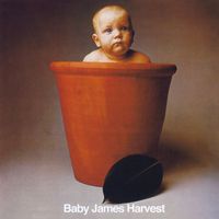 Barclay James Harvest - Baby James Harvest (2002 Remaster)