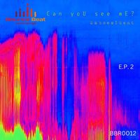 2Shoes1Beat - Can You See Me E.p.2