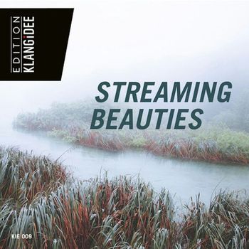 Jochen Schmidt-Hambrock - Streaming Beauties