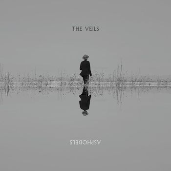 The Veils - Asphodels