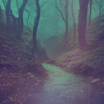 Solscape - The Path