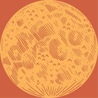 Buffalo Rose - The Cosmos and the Canyon