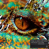 Vintage Culture - Find A Way (VIP Mix)