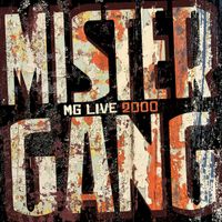 Mister Gang - Tout le monde est là (Live aux Eurockéennes de Belfort)