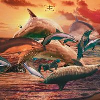 Freebot, Kayi - Ven ven ven