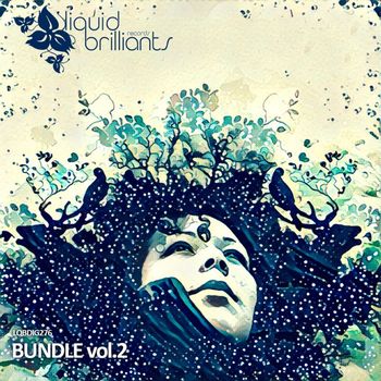 Various Artists - Bundle vol.2