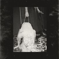 Patriarchy - Suffer With Me (Live In London [Explicit])