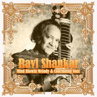 Ravi Shankar - Ravi Shankar - Mind Blowin Melody & Concluding Note
