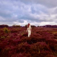 Elaine - Verdwaal