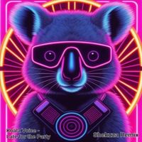 Koala Voice - Late for the Party (feat. Shekuza) [Shekuza remix]