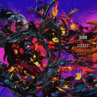 Haso - Tehran Nights