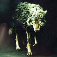 Set It Off - Wolf In Sheep's Clothing [REBORN] (Explicit)