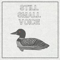 Mark Erelli - Still Small Voice