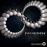 Pitchriders - Tuned into Infinity