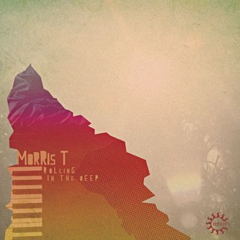 Morris T - Rolling in the Deep
