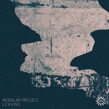 Modular Project - Leaving