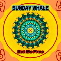 Sunday Whale - Set Me Free
