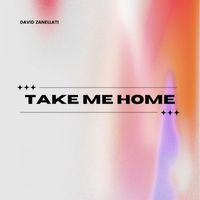 DAVID ZANELLATI - Take Me Home