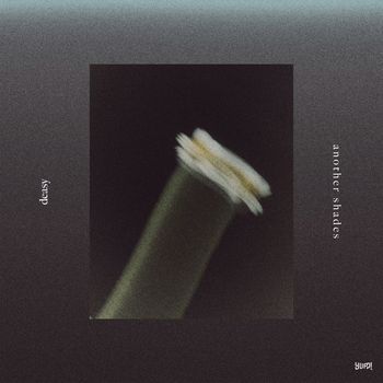 deasy - another shades