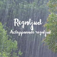 Regnljud - Avslappnande regnljud