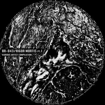 Various Artists - RIGOR MORTIS pt.I