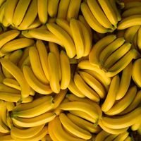 SLIGHT - Bananas