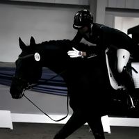 grouper - 时光的伤